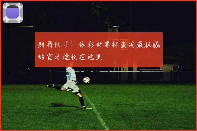 别再问了！体彩世界杯查询最权威的官方途径在这里