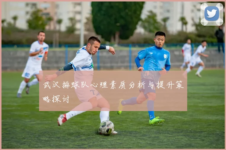 武汉排球队心理素质分析与提升策略探讨