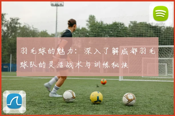 羽毛球的魅力：深入了解成都羽毛球队的灵活战术与训练秘诀